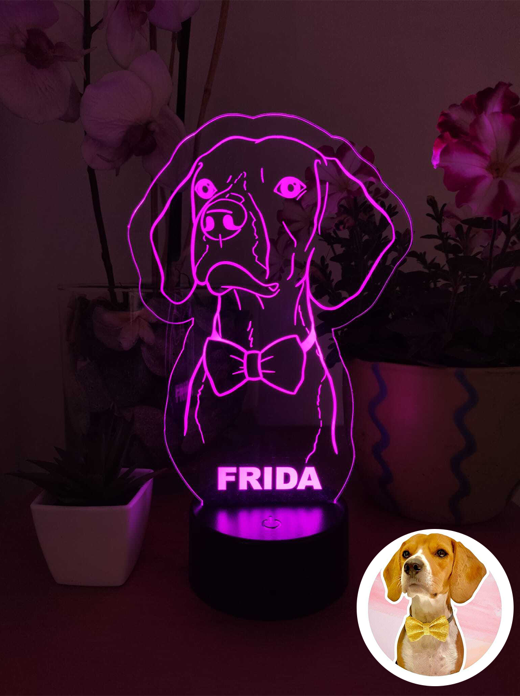 Mascota Frida
