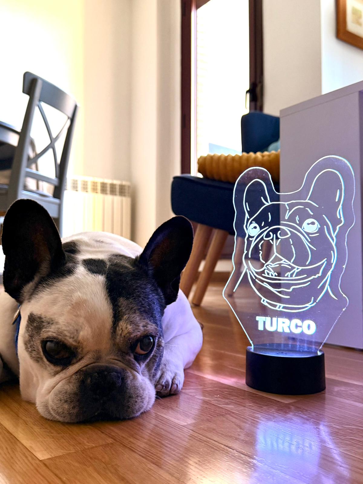 Mascota Turco