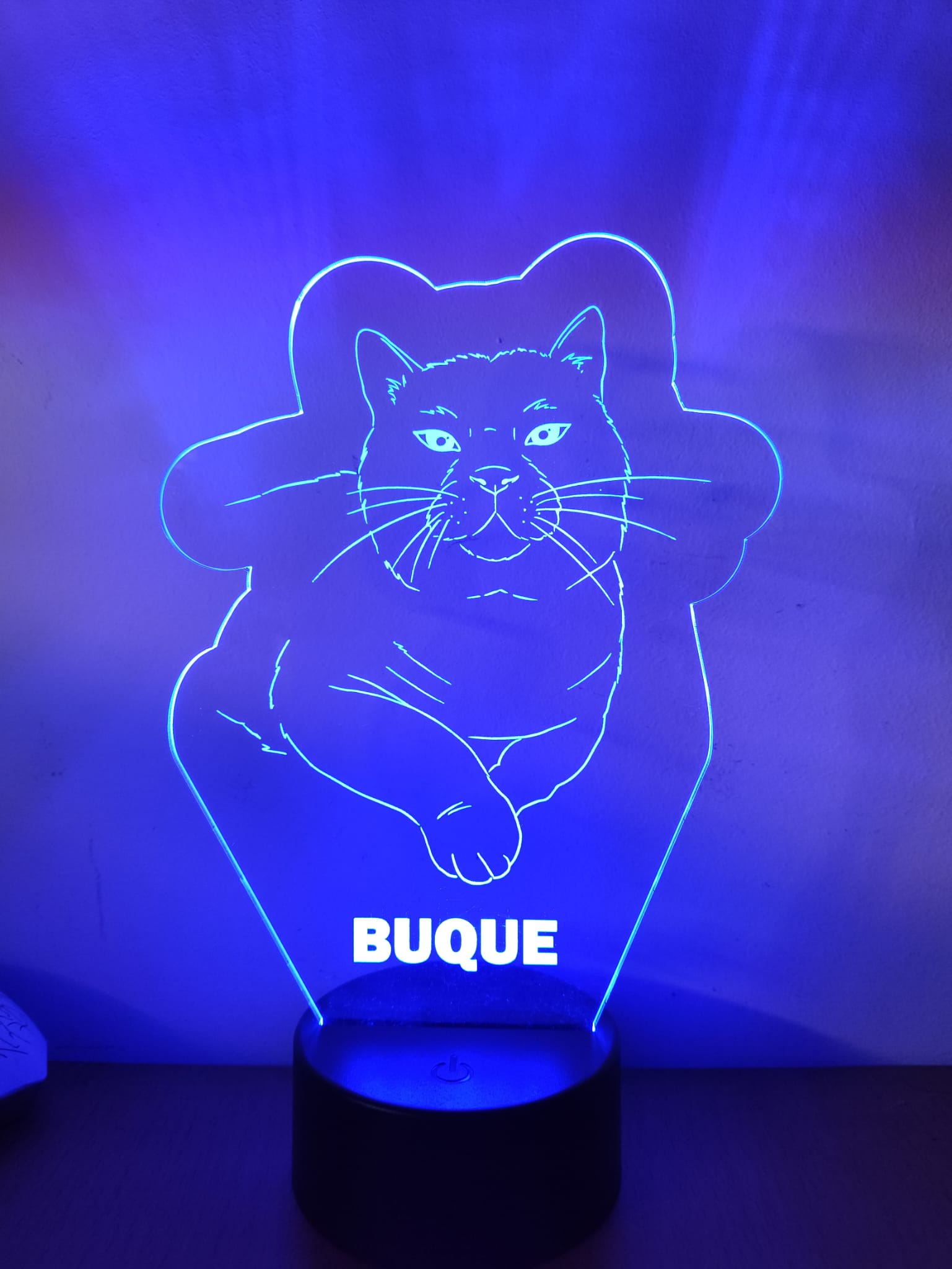 Gato Buque